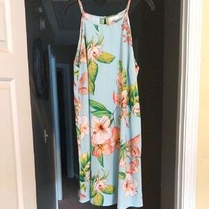 New York & Company Floral Mini Dress in Light Blue